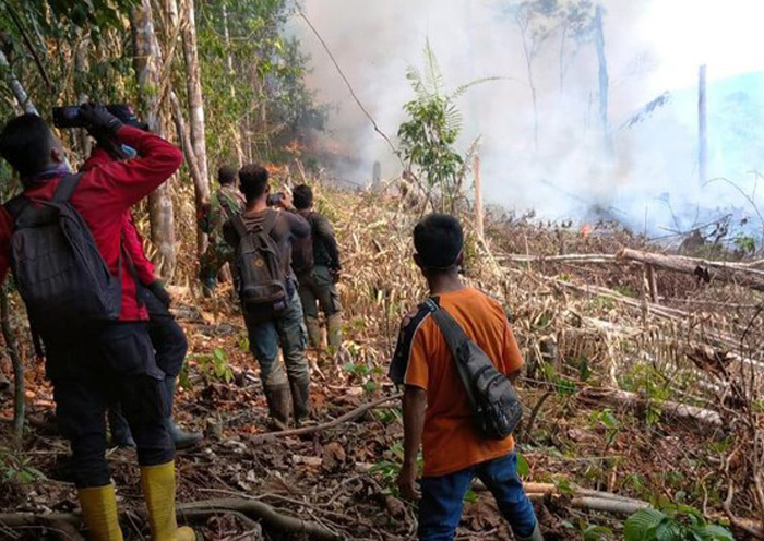 Taman Nasional dan Hutan Lindung di Riau Terbakar, 3 Orang